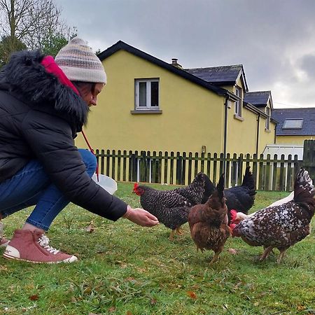 Felicity Cottage Kiltegan Bagian luar foto