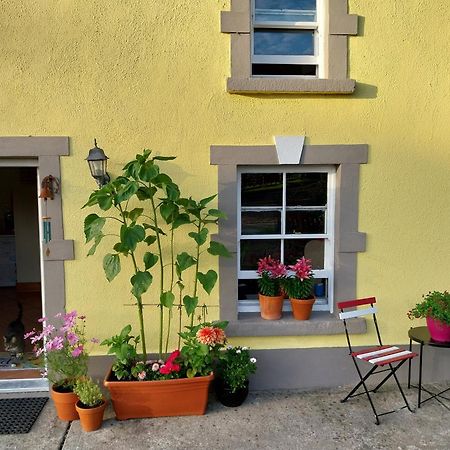 Felicity Cottage Kiltegan Bagian luar foto