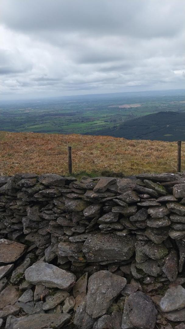 Felicity Cottage Kiltegan Bagian luar foto